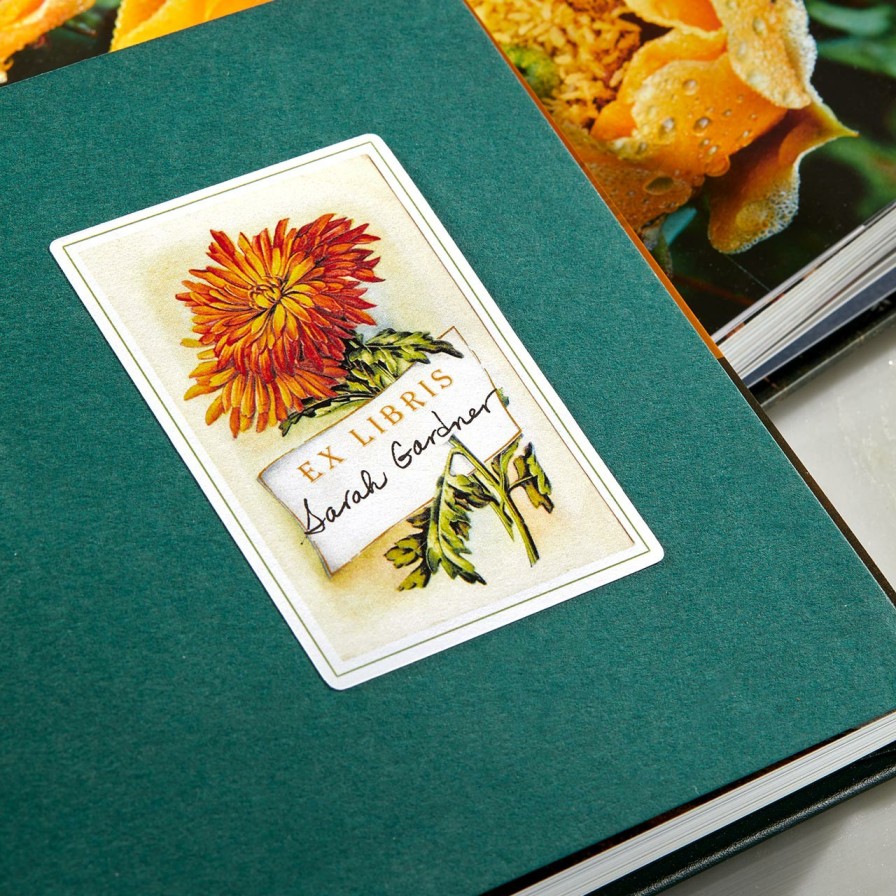 Reading Levenger Bookmarks | Autumn Mums Book Plates (Set Of 10)